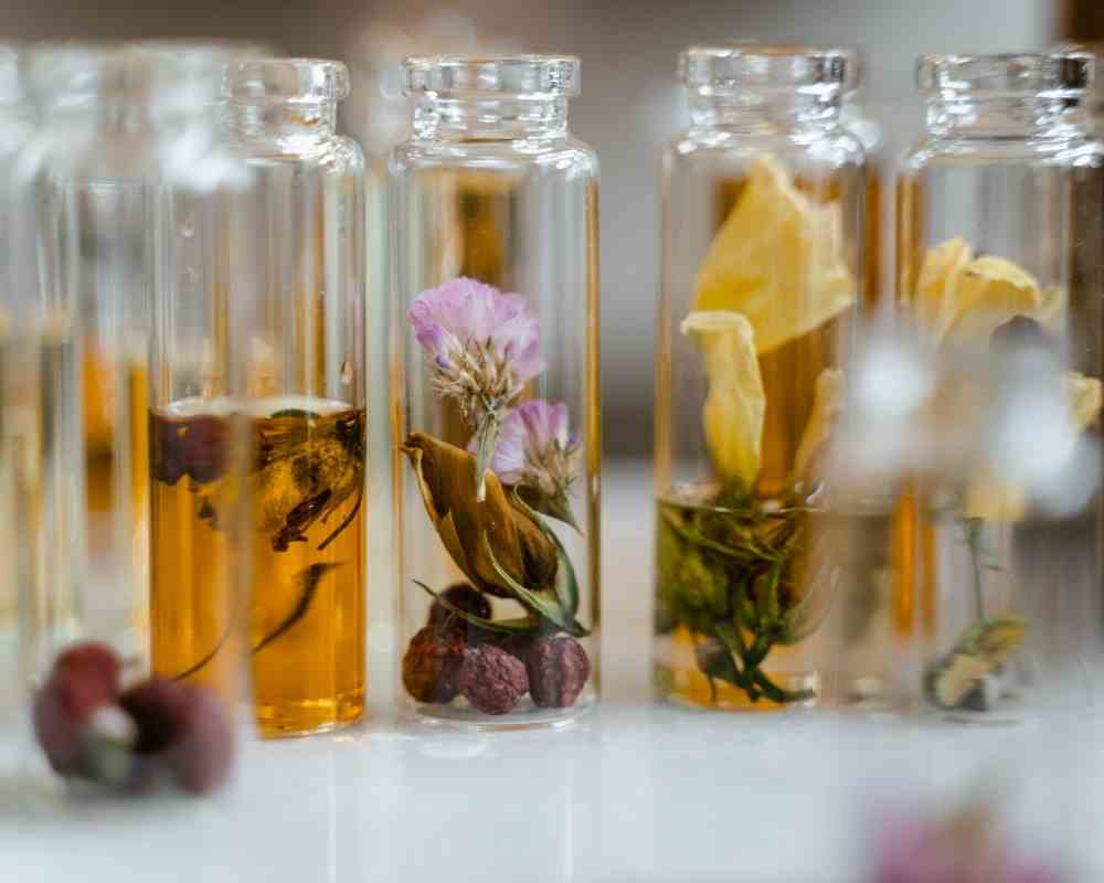 The Ultimate Guide on perfecting the art of perfume application-ScentKulture