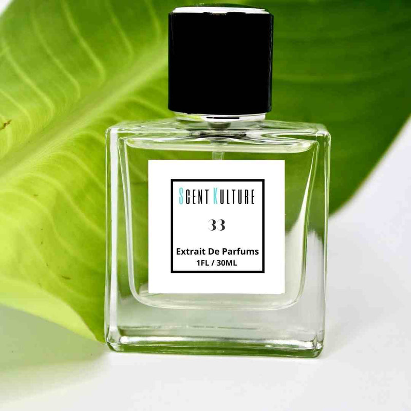 Inspired by SANTAL 33